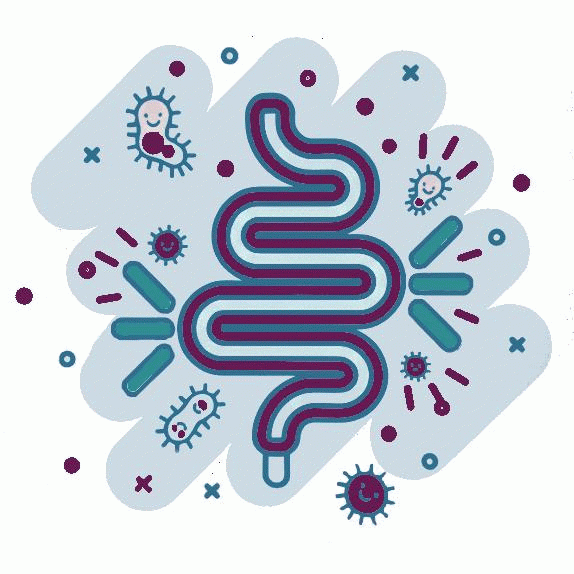 Schematische, verniedlichte 2-dimensionale Darstellung eines Dünndarms und seiner Bakterien.