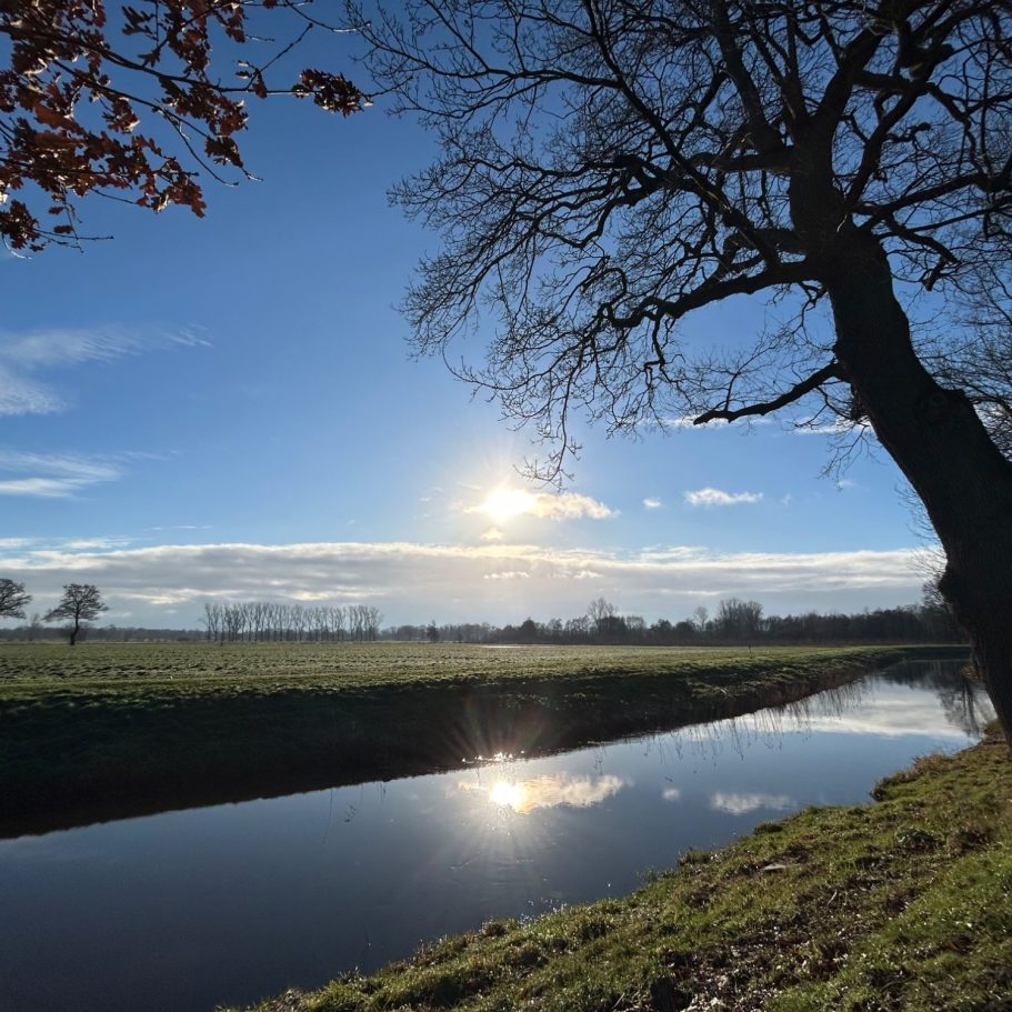 Ein Baum steht am Ufer eines schmalen Flusses und neigt sich über das Wasser. Eine tiefe Wintersonne spiegelt sich im Fluss.