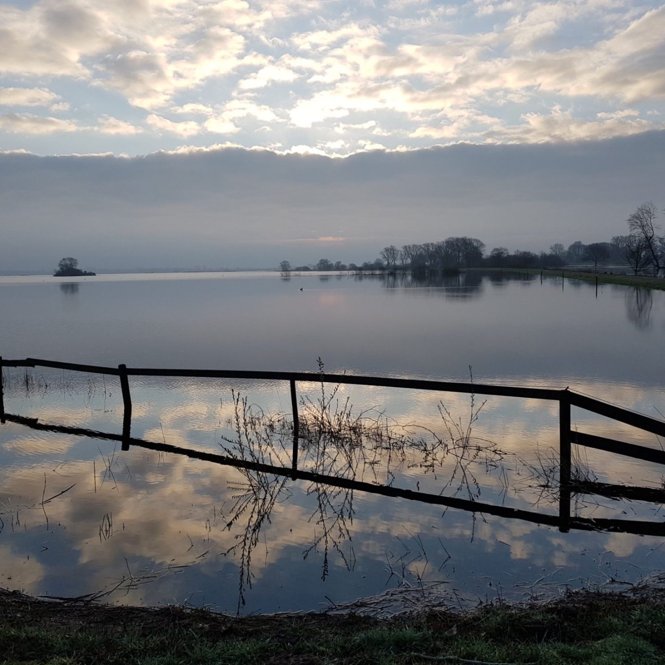 Ein stiller See im. Ein Zaun steht im Wasser, die Wasseroberfläche ist spiegelglatt. Es gibt Abendsonne und ein lebendiges Wolkenbild.